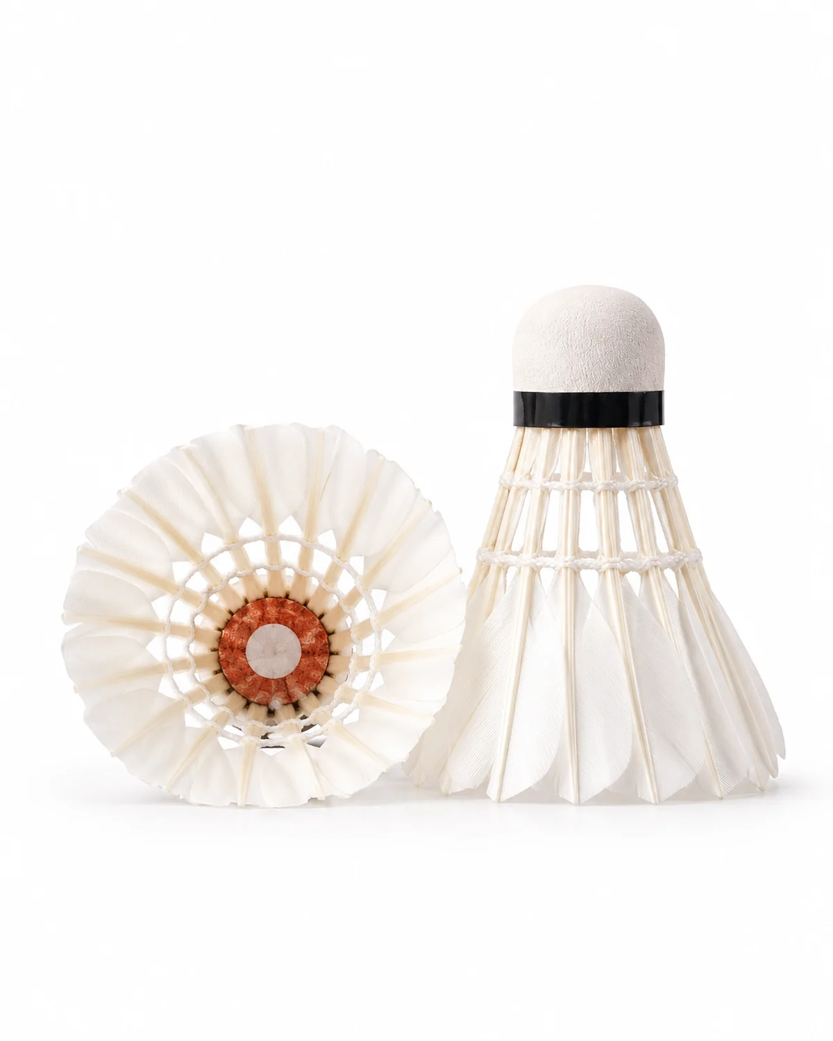 Shuttlecock model from the catalog