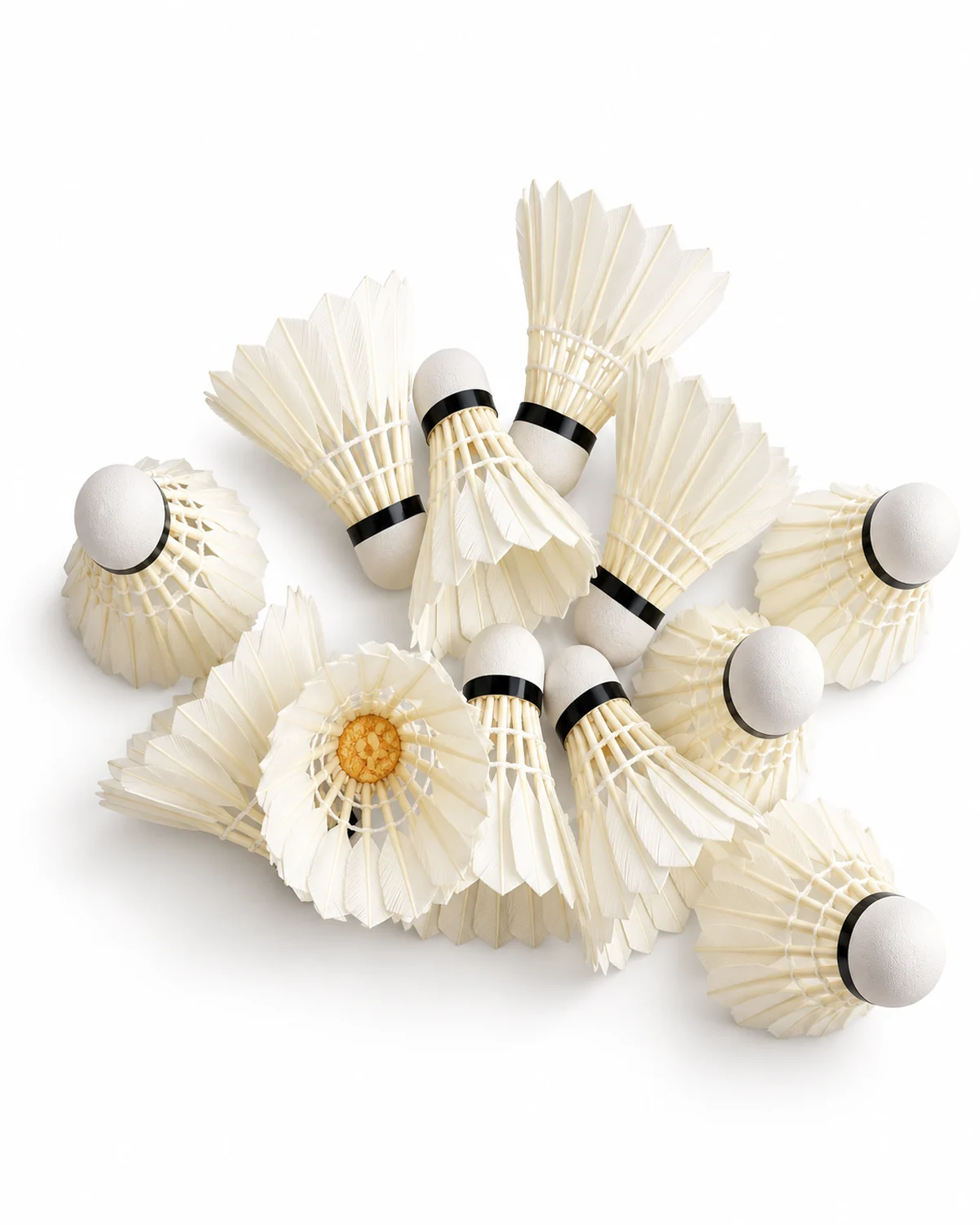 101 Badminton Shuttlecock