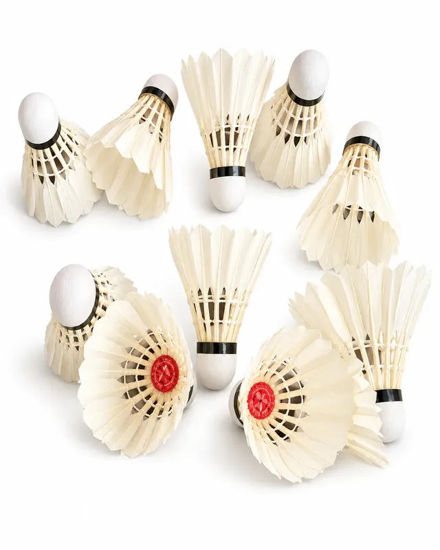 102 Badminton Shuttlecock