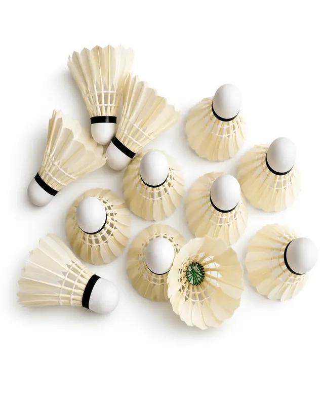 Practice Badminton Shuttlecock
