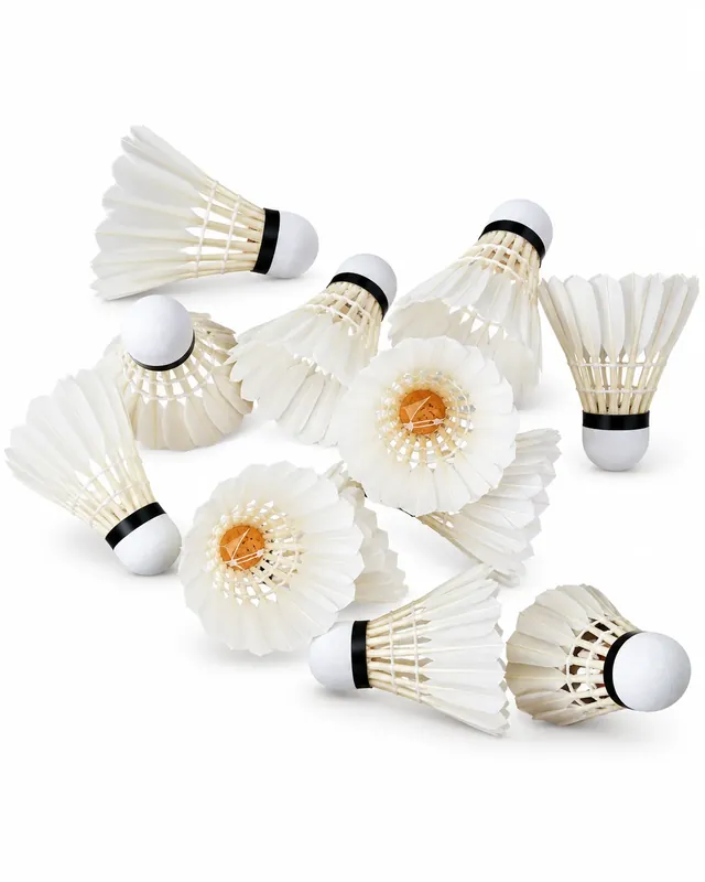 TRAINING NO.4 Badminton Shuttlecock