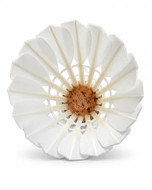 GL-1 Badminton Shuttlecock