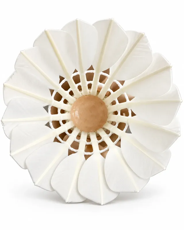 GT-5 Badminton Shuttlecock
