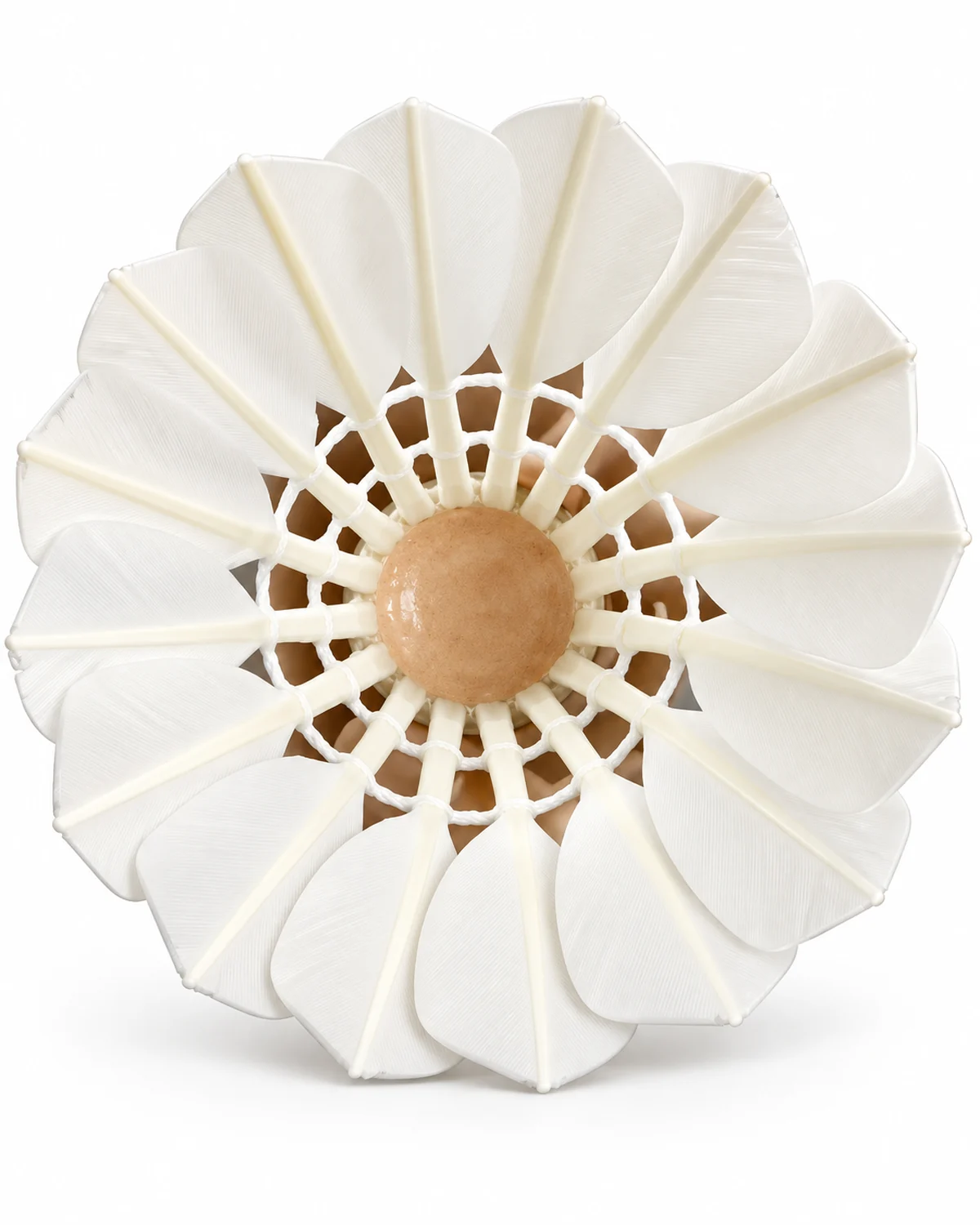 GT-5 Badminton Shuttlecock