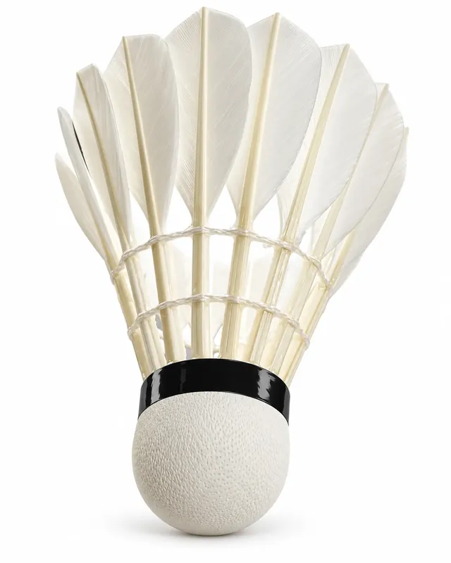 GT-6 Badminton Shuttlecock