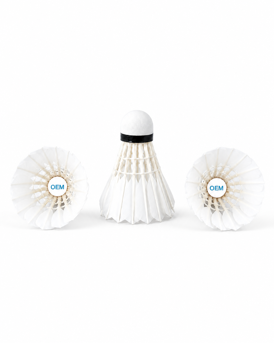 Shuttlecock tube branding example on a white background